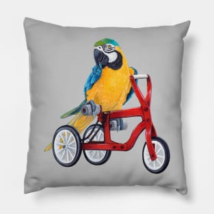 Parrot Macaw on Bike Pillow