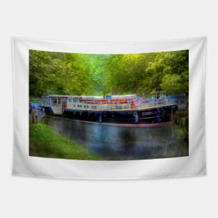 Longboat on the Grand Canal, Dublin, Ireland Tapestry