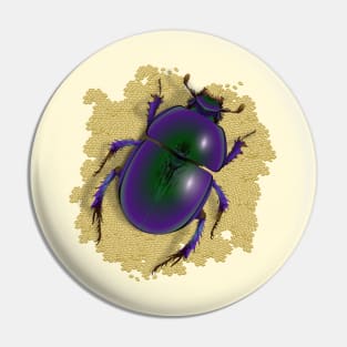 Egyptian Scarab Beetle sitting on the sand Pin