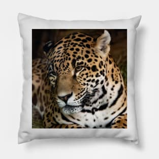 Portrait of Lady Leopard Pillow