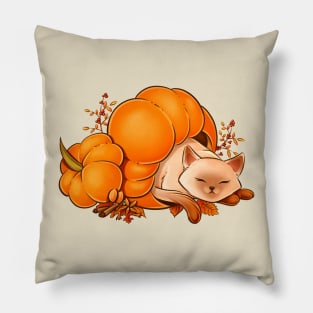 Pumpkin Spice Latte Cat Pillow