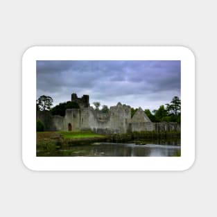 Desmond Castle Magnet