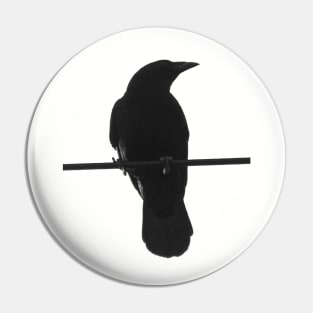 crow on a wire Pin