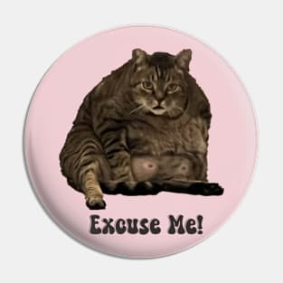 Excuse Me funny cat Pin