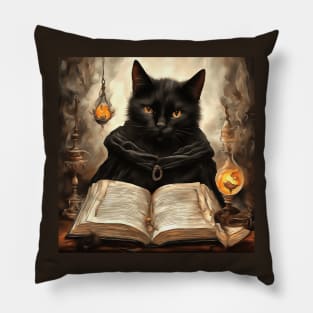 The Curious Black Cat Book of Magic Pillow