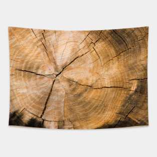 Wooden Tree Circle Texture Tapestry