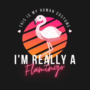 Flamingo Lovers, This Is My Human Costume I'm Really A Flamingo, funny halloween T-Shirt