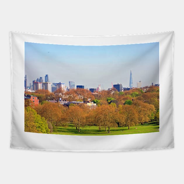 London Skyline Cityscape Primrose Hill Tapestry by AndyEvansPhotos