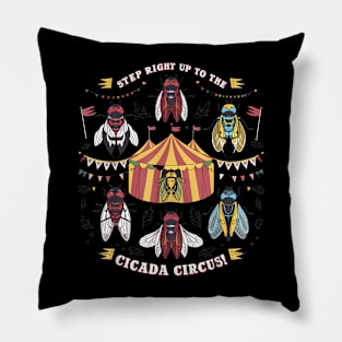 Cicadas Circus Festival, Cicada cycle, Festival Pillow