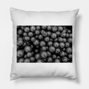 Garden Tomatoes BnW Pillow