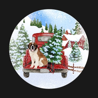 Christmas St Bernard T-Shirt