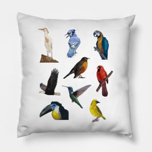 Nine Bird Illustration Pack Pillow