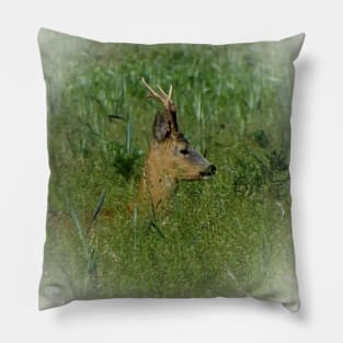 Roe deer Pillow