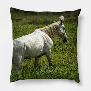 white horse Pillow