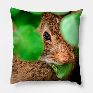 Hungry Bunny Photograph Pillow