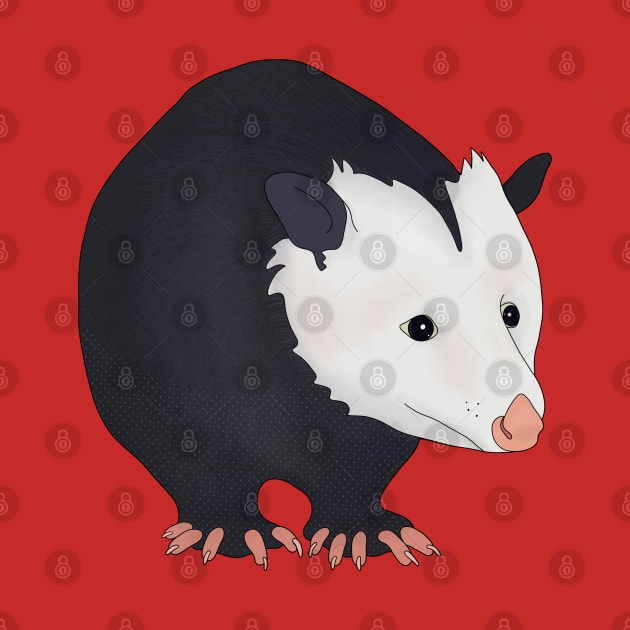 Adorable Opossum by DiegoCarvalho