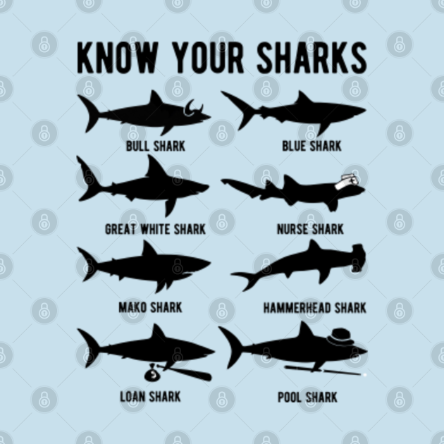 Disover Know your sharks - Sharks - T-Shirt