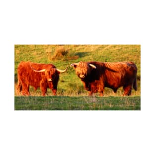 Highland Cows in the Sun T-Shirt