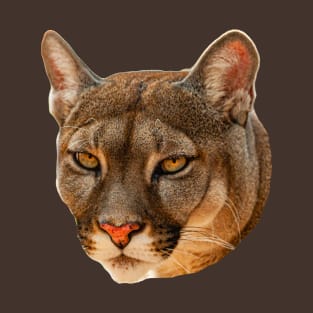 Mountain Lion stare T-Shirt