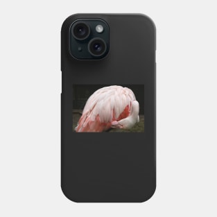 Greater Flamingo Preening #2 Phone Case