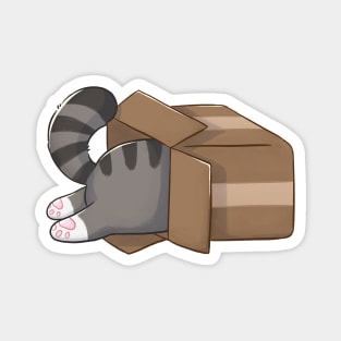 Cute And Funny Tabby Cat In A Box Magnet