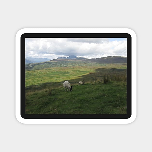 Ben Lomond on Loch Lomond, Scotland Magnet by MagsWilliamson