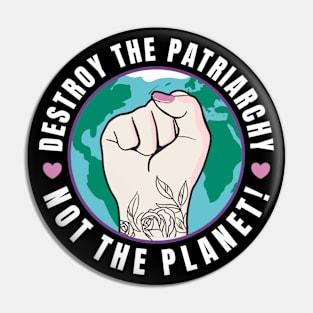 Feminism Destroy The Patriarchy Not The Planet Pin