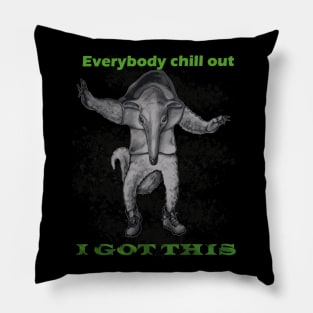 relax i got this Pillow