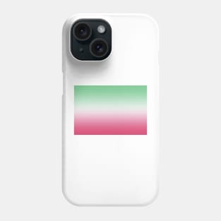 Abrosexual Pride Flag Gradient Phone Case