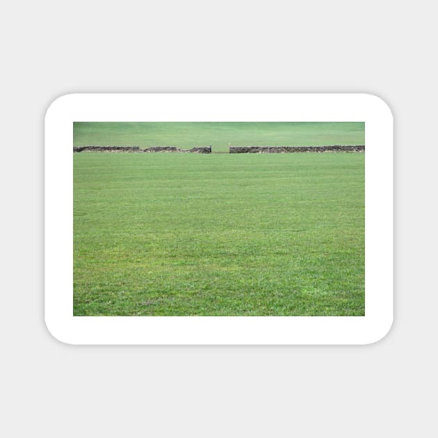 Green Green Grass Of Home Magnet by acespace