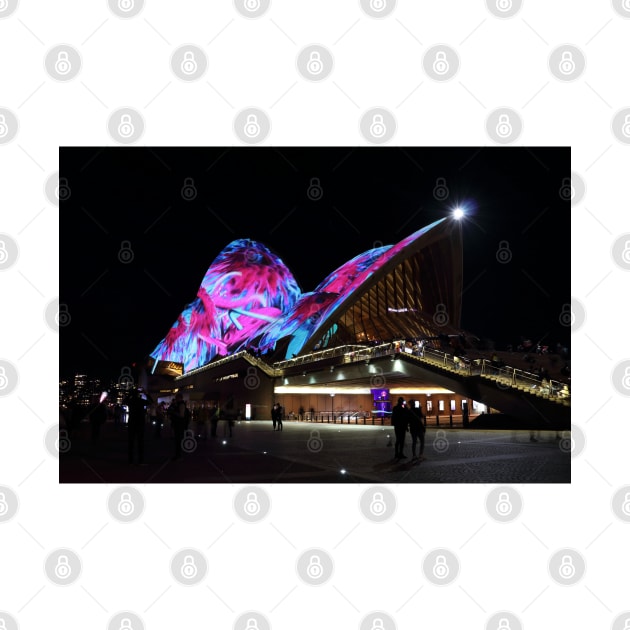 Sydney Opera House during the Vivid Festival by VickiWalsh