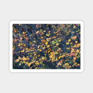 Little Autumn Leaves and Branches Magnet