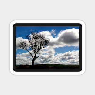 Silhouette Landscape Magnet