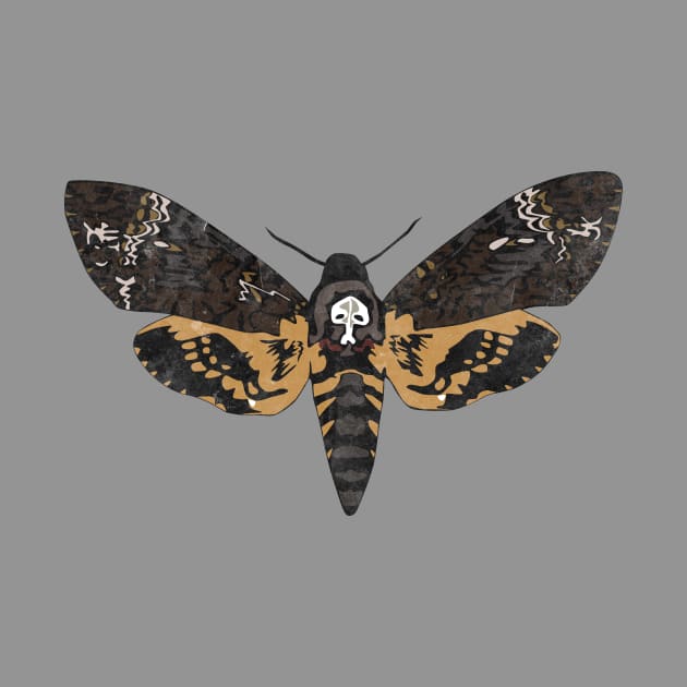 Death's Head Hawk Moth by emilywayland