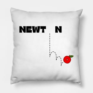 Newton's gravity law Pillow