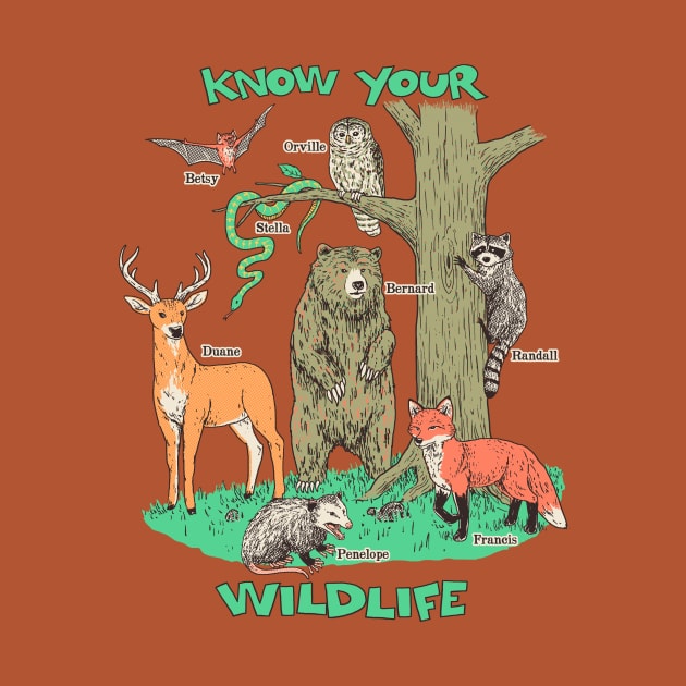 Know Your Wildlife by Hillary White Rabbit