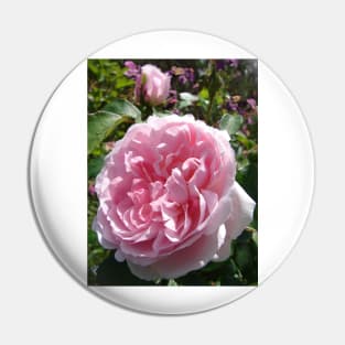Pink Rose Flower Pin