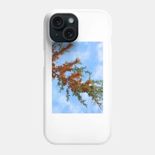 Rowan Tree Branch Phone Case