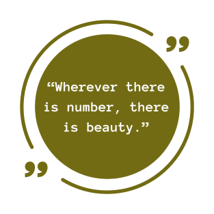 Beauty in Numbers T-Shirt