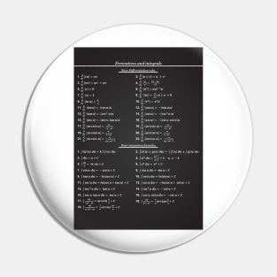 Derivatives And Integrals Pin