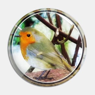 European Red Breast Robin Pin