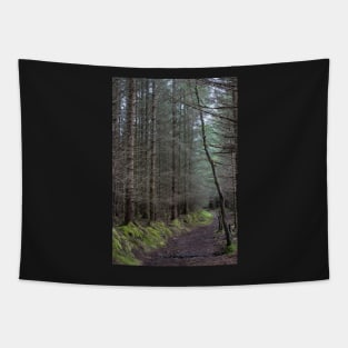 Loch Maree tree line Tapestry