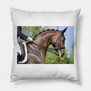 Dressage Pillow