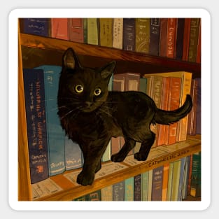 Black Cat Books Kiss-cut Stickers, Black Cat Stickers, Book and