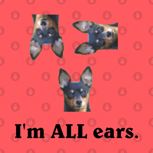 I'm all ears. by amigaboy