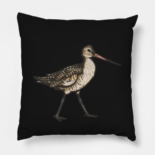 Marbled Godwit Pillow