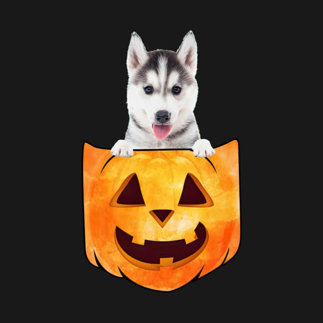 Husky Dog In Pumpkin Pocket Halloween by nakaahikithuy