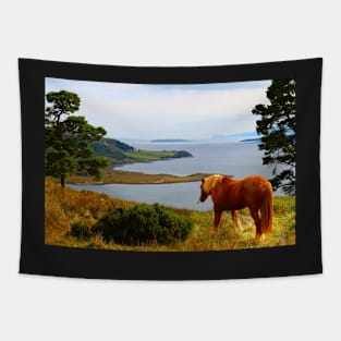 Horse in Tighnabruaich Tapestry