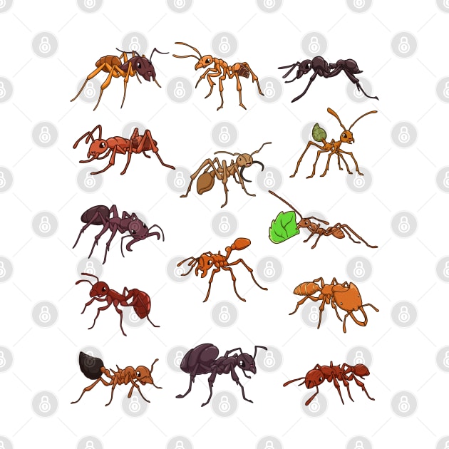 Many different species of ants by Modern Medieval Design