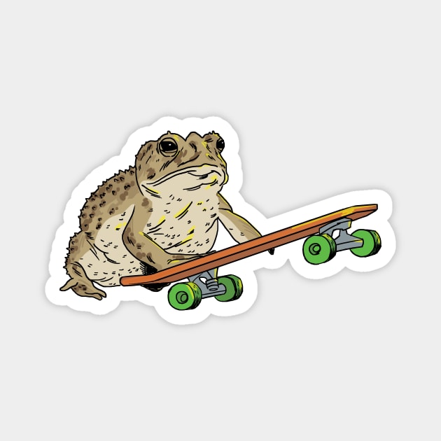 Frog on Skateboard Magnet by castrocastro